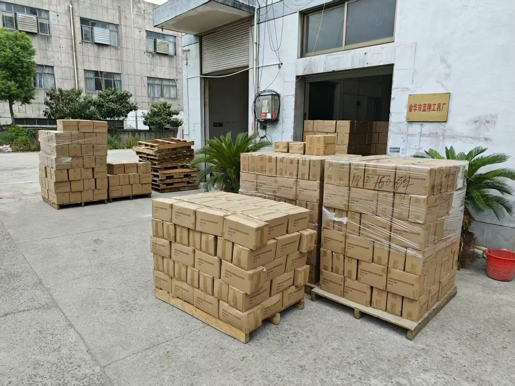 Export cartons stacked on pallets ready for shipment
