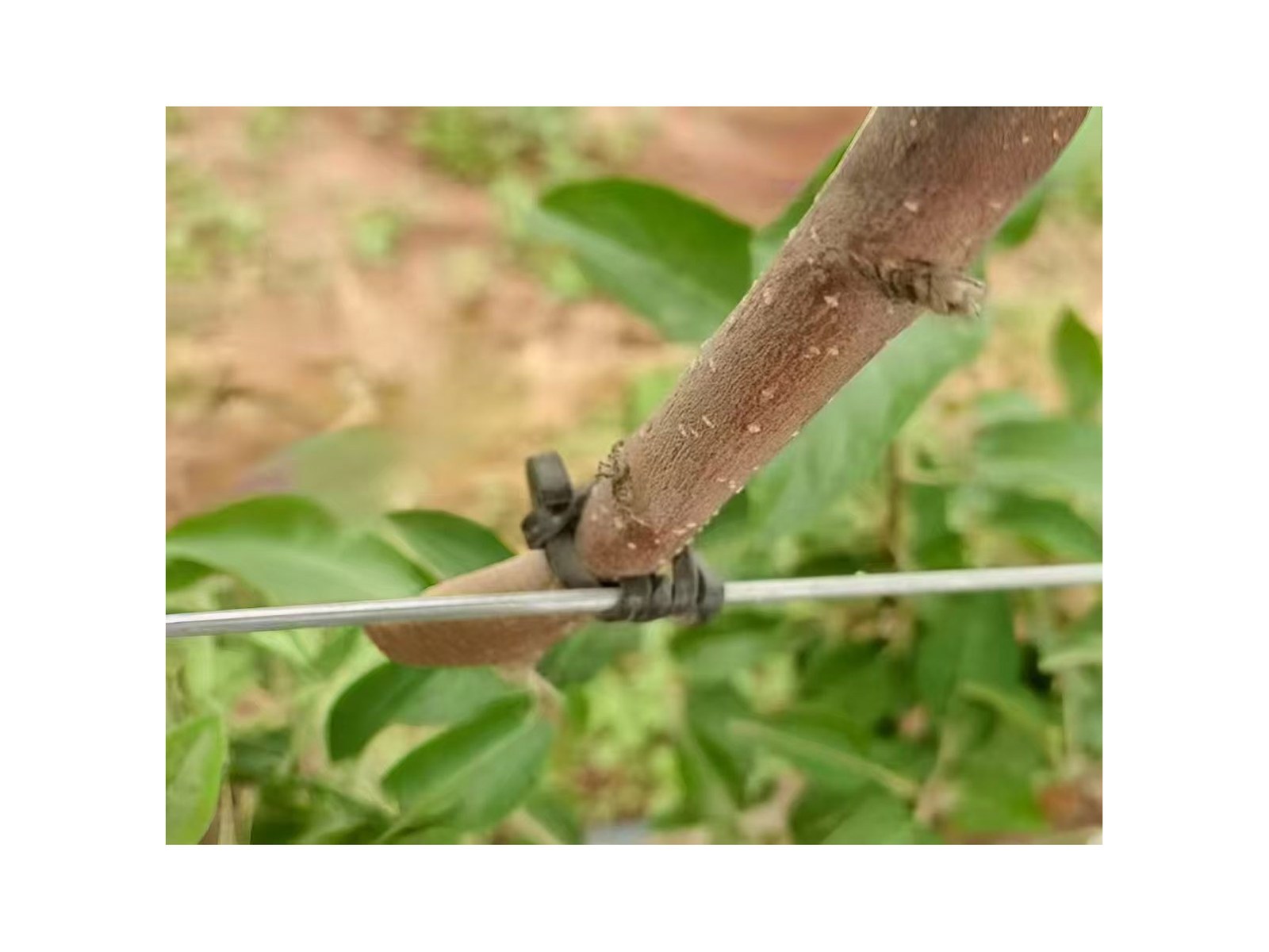 EPDM rubber tie - product photo 4