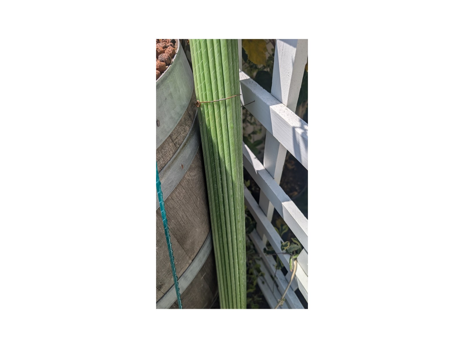 Fiberglass stake - product photo 2